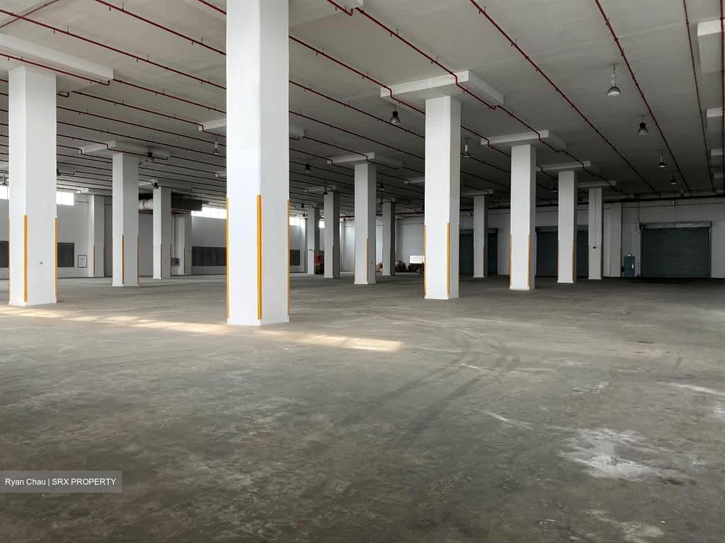 Expo Drive (D16), Warehouse #554260301